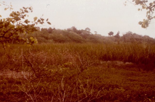 Becan