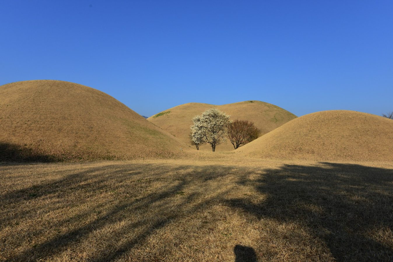 Daereungwon Tomb Complex