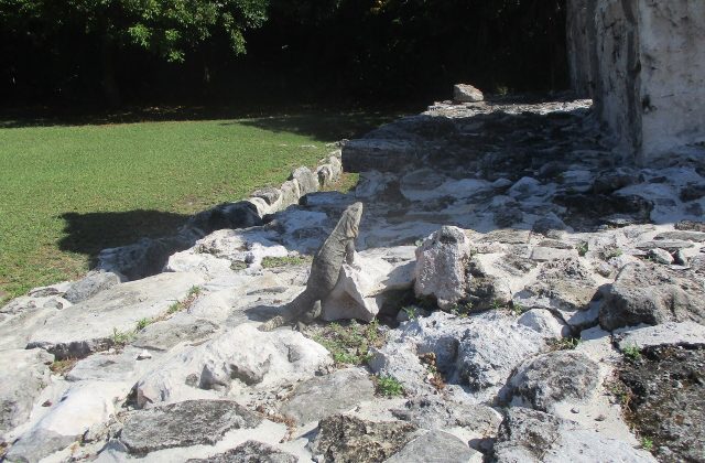 El Rey Ruins, Cancun